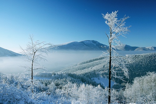 Winter in Central Europe