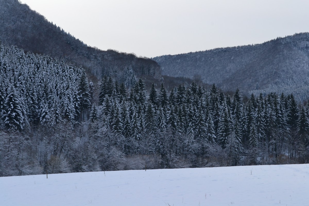 Winter, Nans-sous-Sainte Anne, Franche- Comté, France