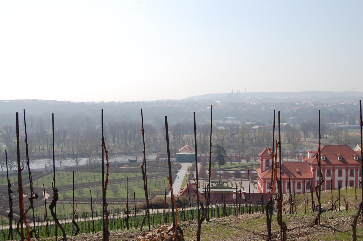 Troja, view from the vineyards: Troja Castle and vineyards below